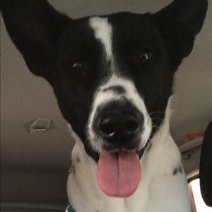 Meet your Posher, Donya